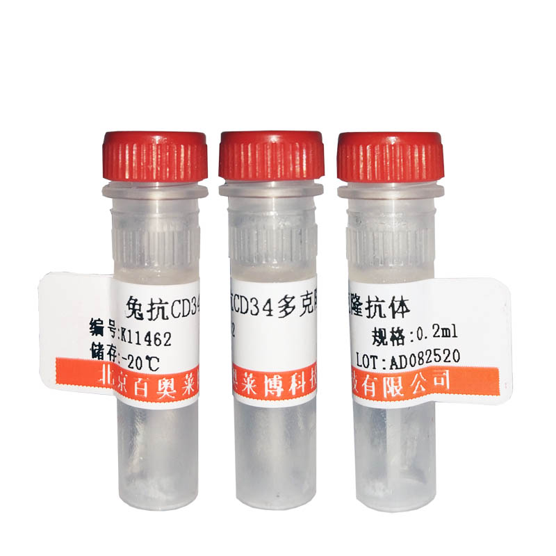 F030841型小鼠抗鸡IgY(IgG)抗体(BIOTIN标记)北京价格