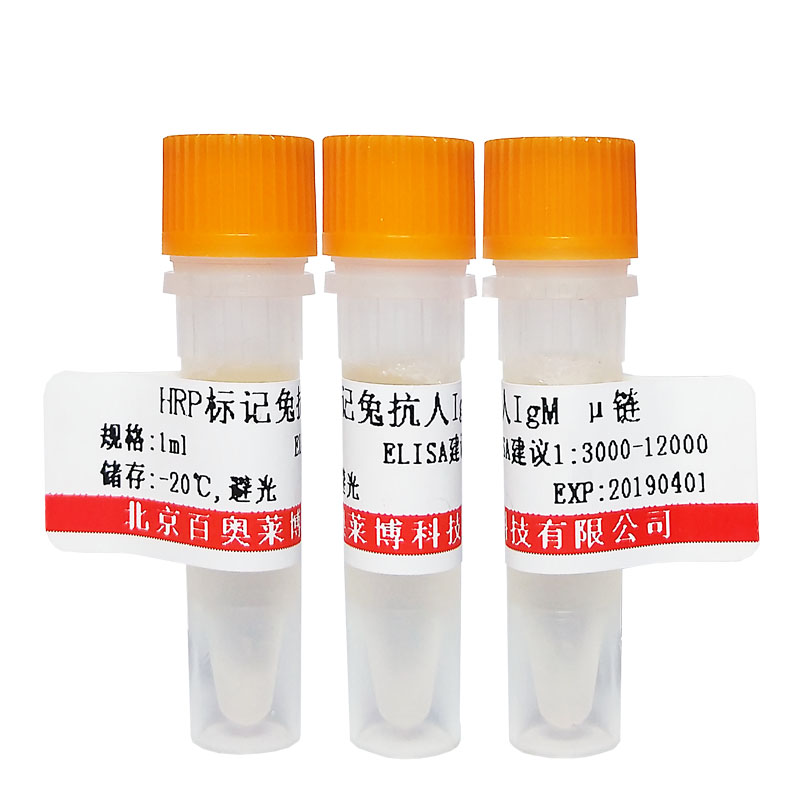 北京羊抗马IgG抗体(RBITC标记)优惠促销