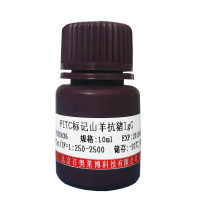 小鼠抗GPX1抗体(谷胱甘肽过氧化物酶1抗体)北京厂家现货