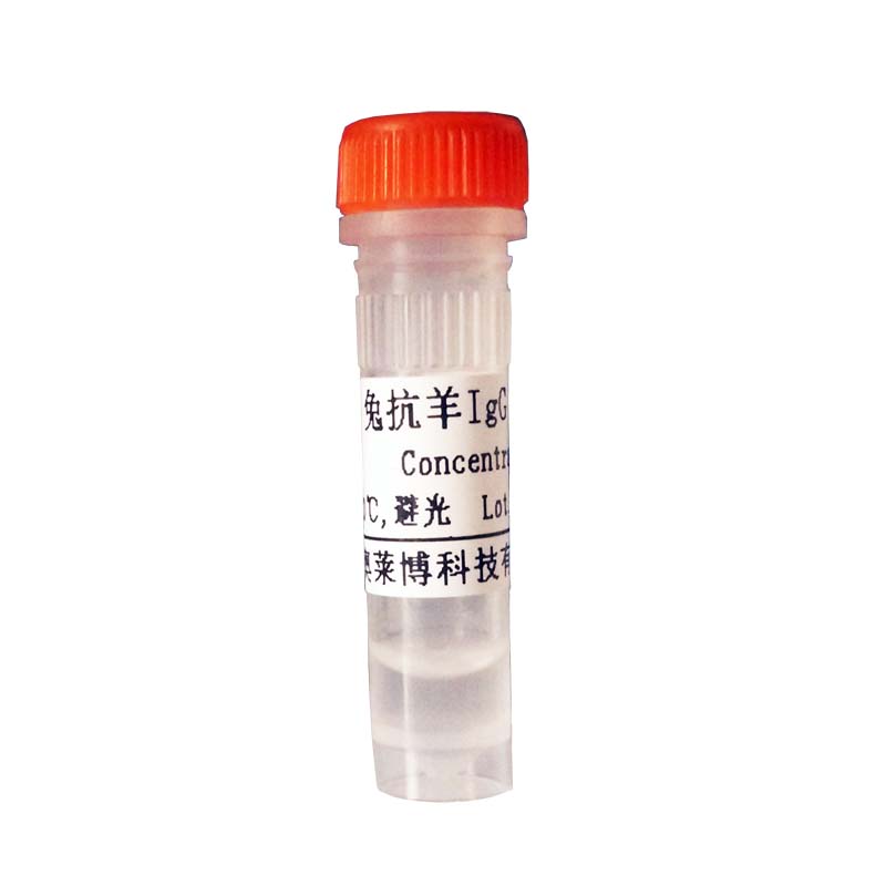 F030834型山羊抗人IgG抗体(BIOTIN标记)现货供应