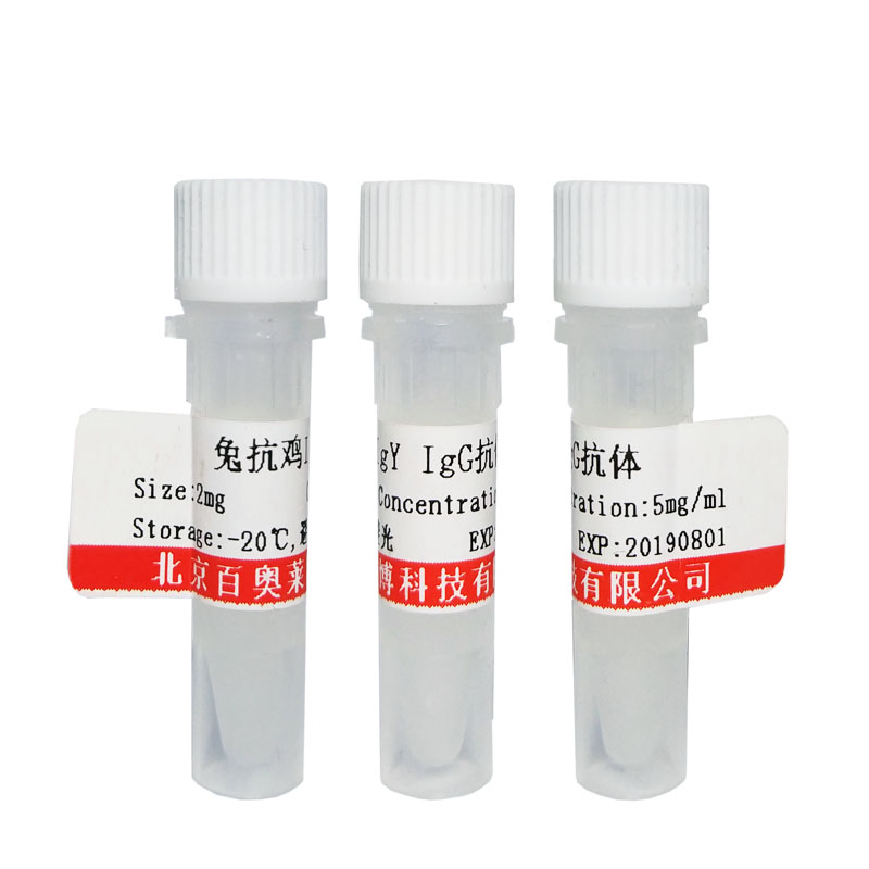 F030206型山羊抗小鼠IgG2a抗体(HRP标记)优惠