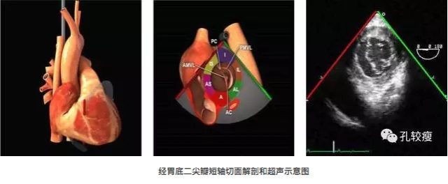 屏幕快照 2017-08-04 下午2.10.36.png