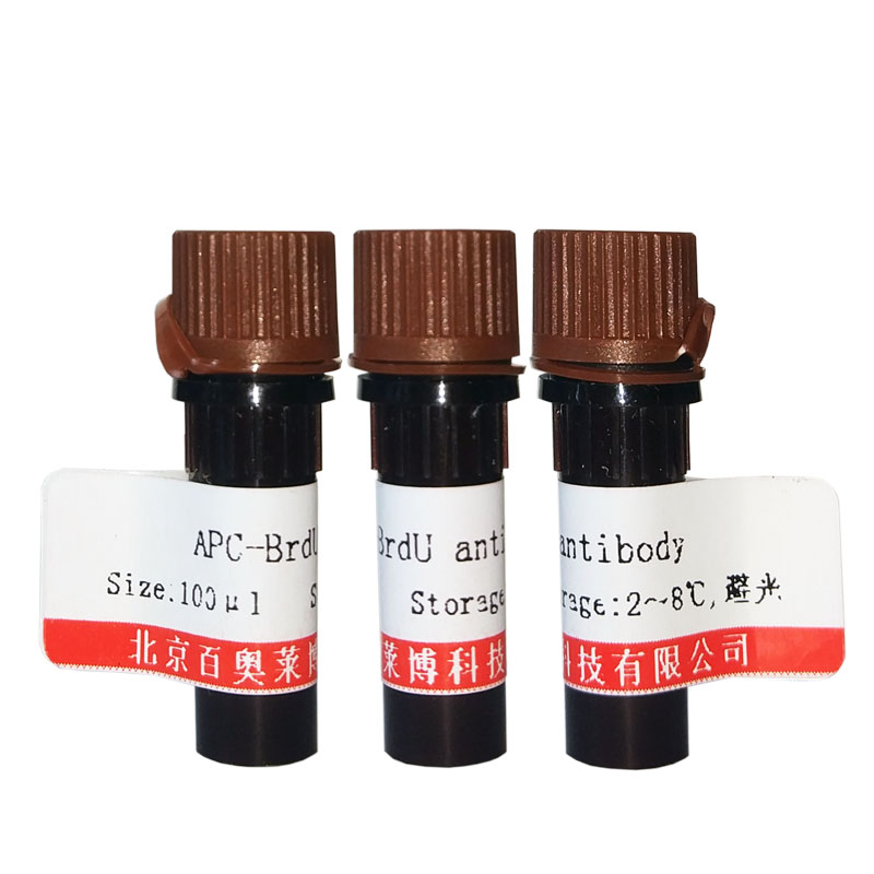 北京现货R-藻红蛋白标记山羊抗大鼠IgG(H+L)F(ab)2片段供应