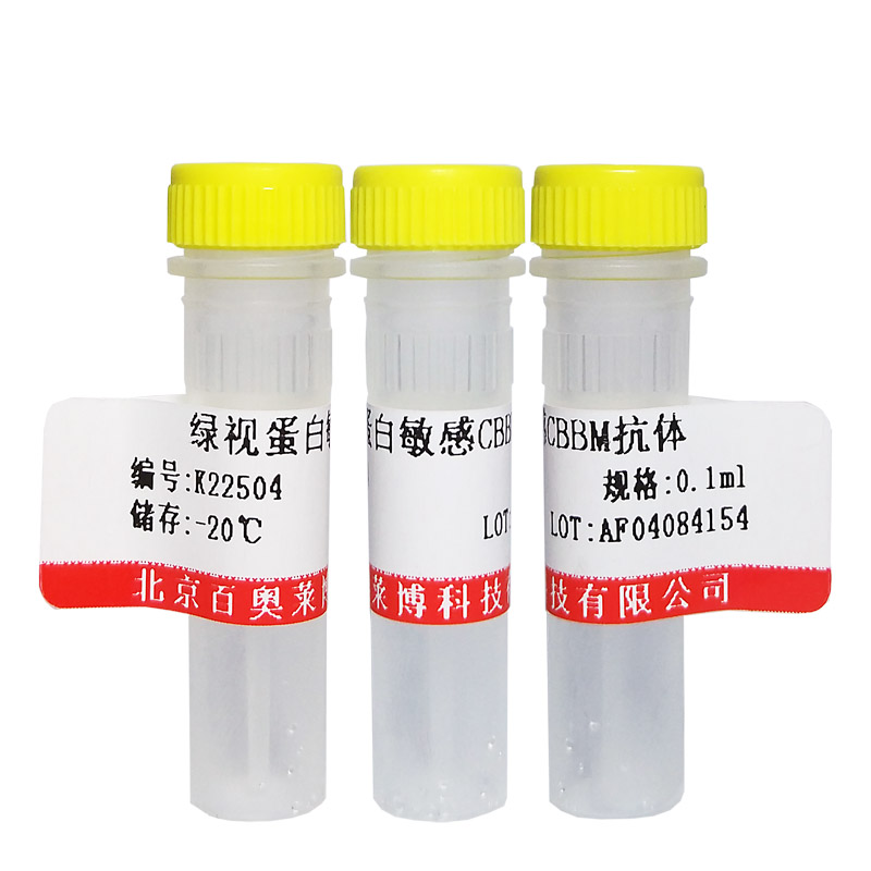 北京现货BL0839型羊抗人IgM纯化抗体品牌