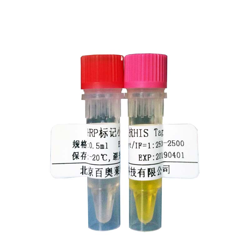 山羊抗小鼠IgG2b抗体(FITC标记)北京现货促销