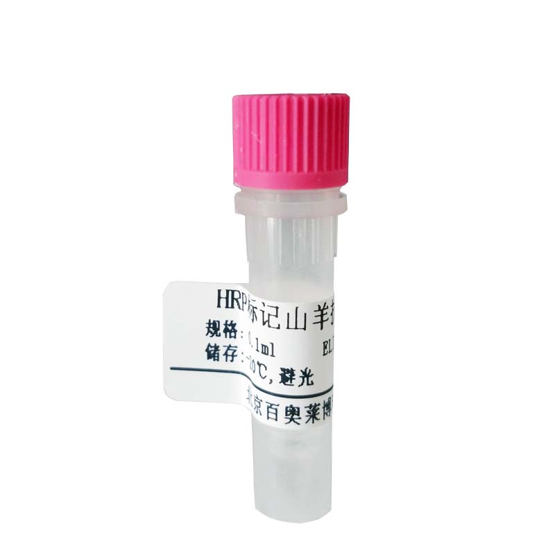 羊抗鸡IgG抗体(HRP标记) HRP标记抗体