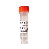 小鼠IgG3抗体怎么卖