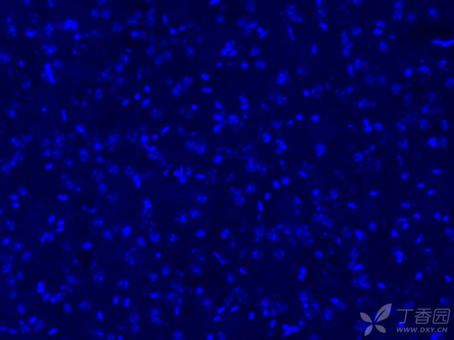 3225327142419609038-8w.jpg!w640