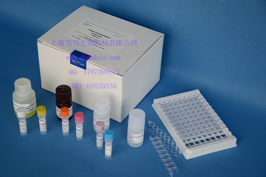 猪γ干扰素(IFN-γ) ELISA 试剂盒