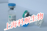 5-溴-1H-吡咯并[2,3-B]吡啶-2-羧酸