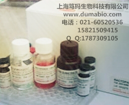 猪白介素1β(IL-1β) ELISA 试剂盒