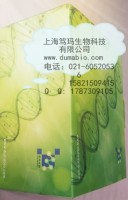 猪白介素18(IL-18) ELISA 试剂盒