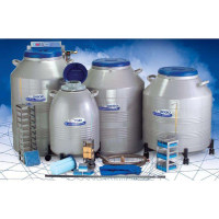 LS4800/LS6000液氮罐