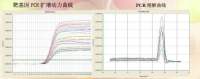 Realtime PCR,实时荧光定量PCR检测服务