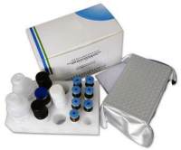 人胸腺活化调节趋化因子ELISA试剂盒报价