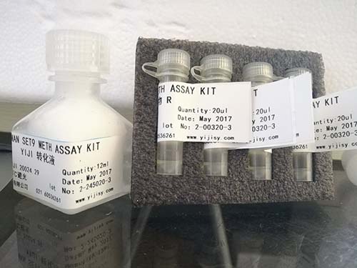 转基因水稻品系Bt63核酸检测试剂盒（恒温荧光法）