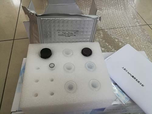 阪崎肠杆菌核酸检测试剂盒（恒温荧光法）