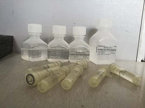 病毒性出血性败血症病毒（VHSV）RNA核酸检测试剂盒（PCR-荧光探针法）