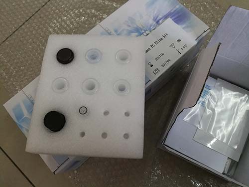 沙门氏菌核酸检测试剂盒（带内参，PCR-荧光探针法）