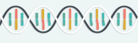 所有SNP基因分型服务（MassArray/AS-PCR/PCR-RFLP/HRM/TaqMan probe）
