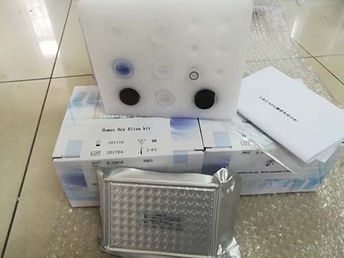 肠道聚集性大肠埃希氏菌(EAEC) 鉴定试剂盒（PCR法）