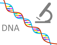 PCR +测序 SNP分型技术服务