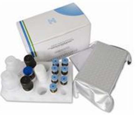 对虾坏死性肝胰腺炎（NHP）核酸检测试剂盒（PCR-荧光探针法）