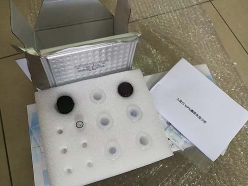 拟态弧菌核酸检测试剂盒（恒温荧光法）