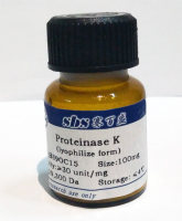 重组蛋白酶K