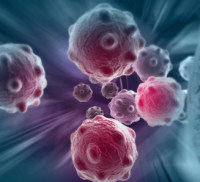 病毒在肿瘤研究中的应用