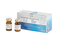 精液乳酸脱氢酶同工酶X测定试剂盒(速率法）