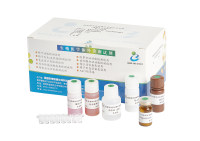 精浆弹性蛋白酶测定试剂盒(ELISA)