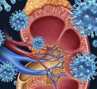 病毒在疾病研究中的应用