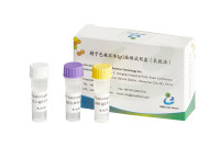 精子包被抗体IgG检测试剂盒(MAR-IgG)