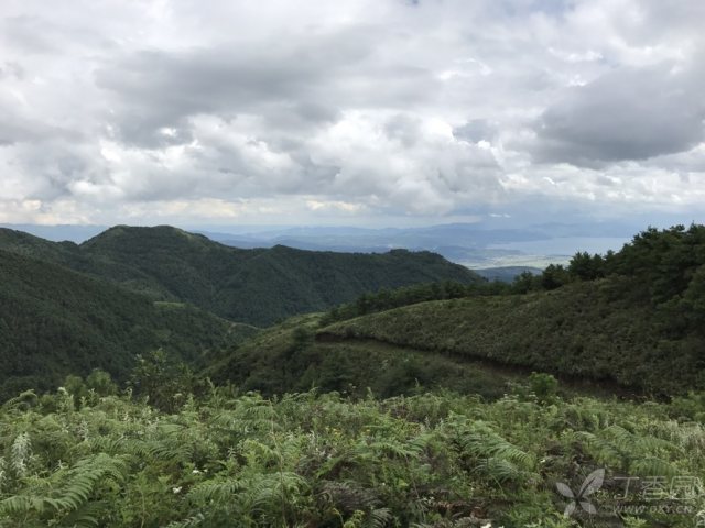 户外随拍大自然 3226997272664899597-16w.jpg!w640