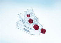 25cm²细胞培养瓶（标准盖/虑盖)