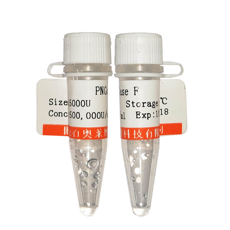 RFT019型DNA Marker II(100～1200bp)厂家