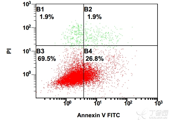 细胞凋亡检测/annexin V检测/annexin V/PI检测