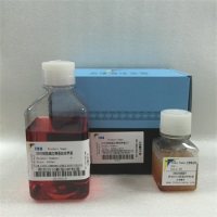 胸腺上皮细胞减血清培养基