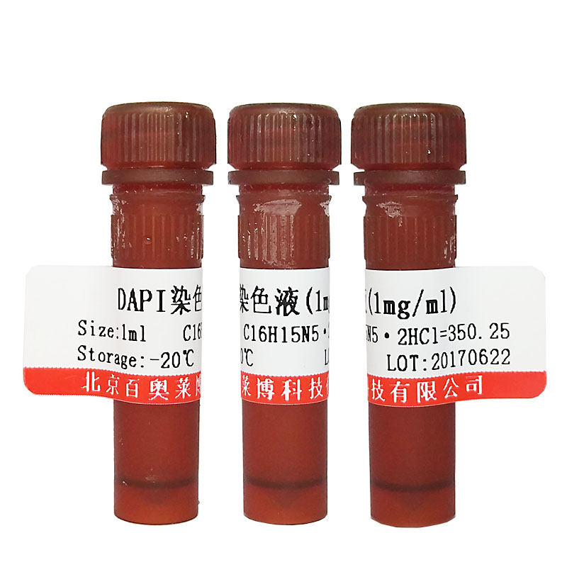 北京现货TH114型人外周血淋巴细胞分离液 内毒素