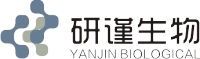无血清细胞生长添加物（用于CIK、DC-CIK、NK无血清培养液添加）