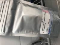 Annexin V-FITC/PI凋亡检测试剂盒