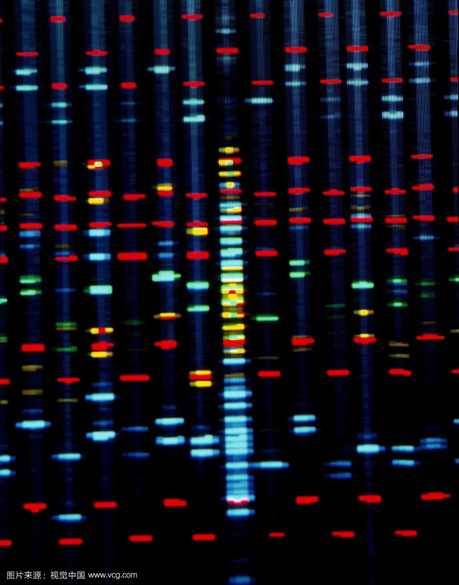 基因组重测序/二代测序/高通量测序