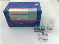 总谷胱甘肽测定试剂盒