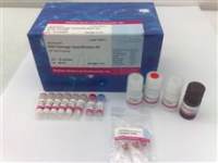 DNA损伤定量试剂盒