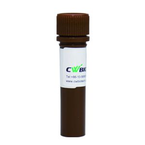 CWBIO® 电泳、DNA Marker