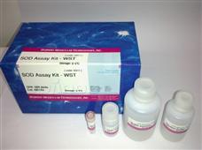 超氧化物岐化酶检测试剂盒—WST®