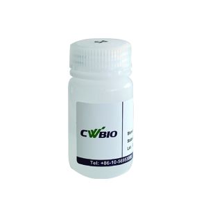 CWBIO® 蛋白检测