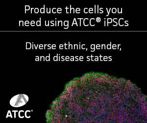 ATCC-CYS0105 Human Induced Pluripotent Stem (IPS) Cells