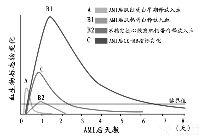 升高多少算心梗 聊聊举足轻重的肌钙蛋白 丁香园